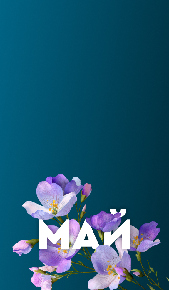 Квартира месяца