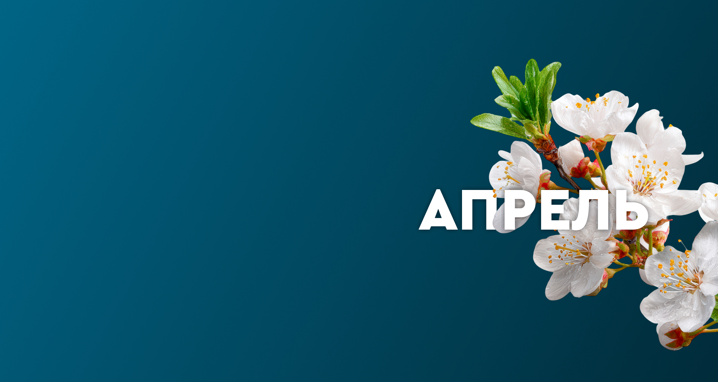 Квартира месяца