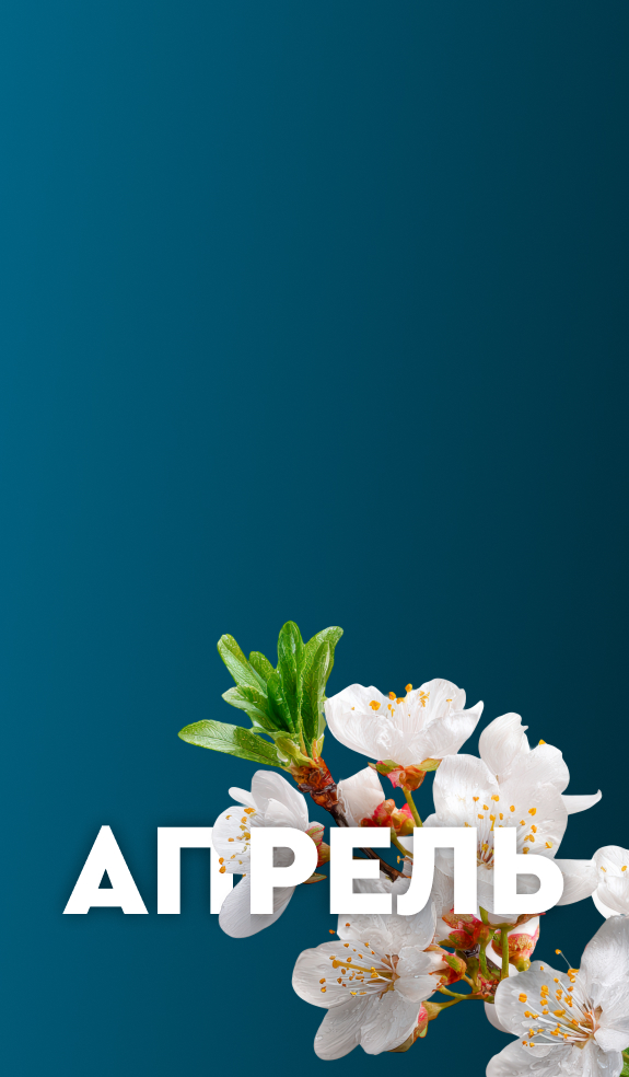 Квартира месяца