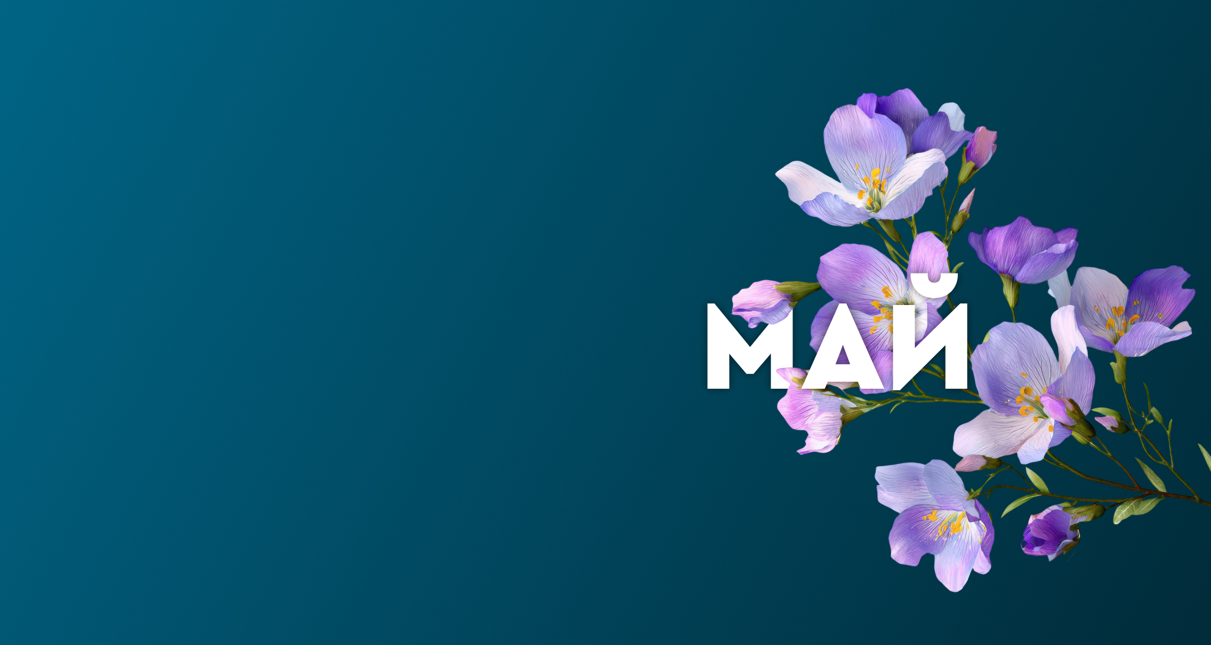 Квартира месяца